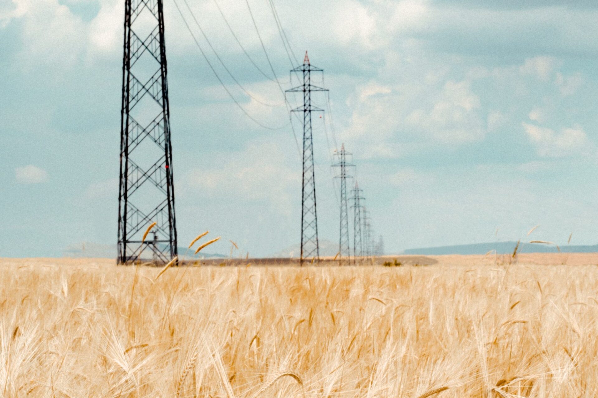 Kraftmast høst